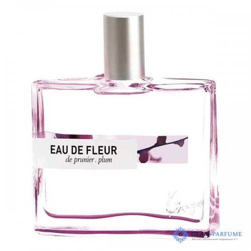 KENZO EAU DE FLEUR DE PRUNIER PLUM