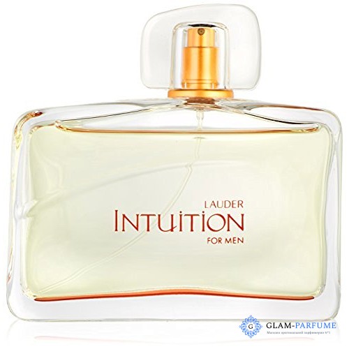 Estee Lauder Intuition Men