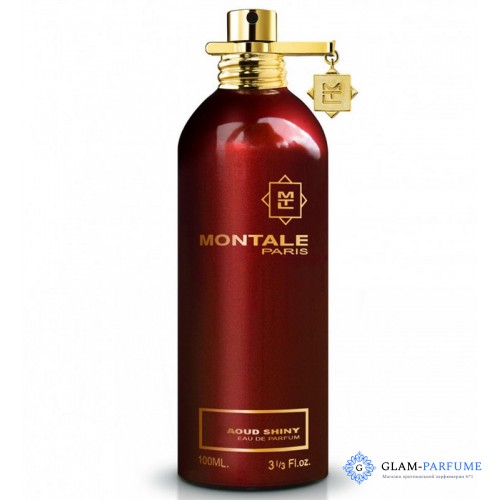 Montale Aoud Shiny