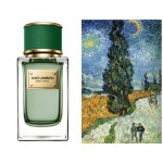 Dolce Gabbana (D&G) Velvet Cypress