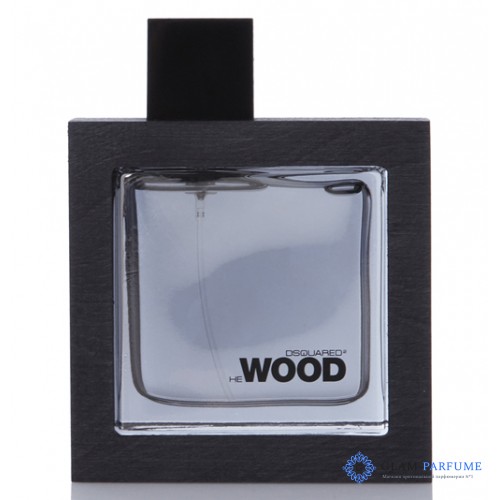 Dsquared2 He Wood Silver Wind Wood