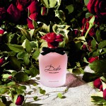 Dolce And Gabbana Dolce Rosa Excelsa