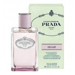 Prada Infusion D'Oeillet