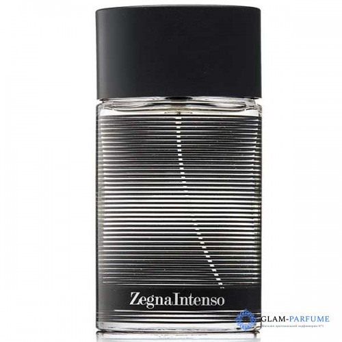 Ermenegildo Zegna Zegna Intenso