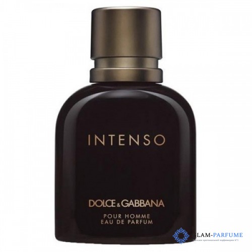 Dolce Gabbana (D&G) Pour Homme Intenso