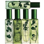 Jo Malone Wild Strawberry & Parsley