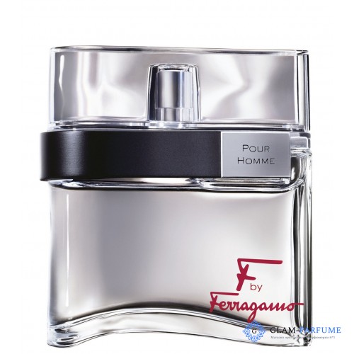 Salvatore Ferragamo F by Ferragamo Pour Homme