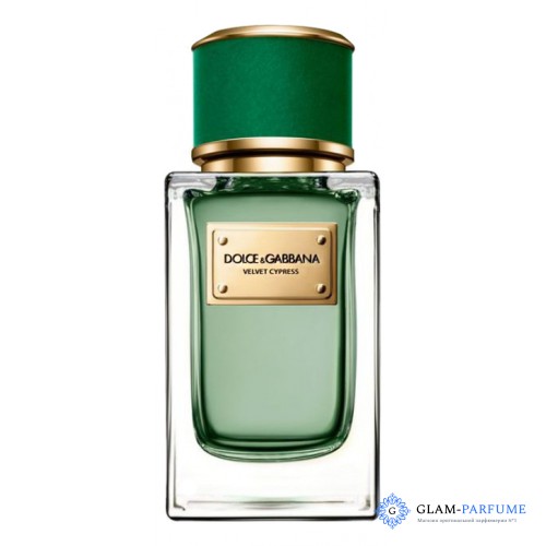 Dolce Gabbana (D&G) Velvet Cypress