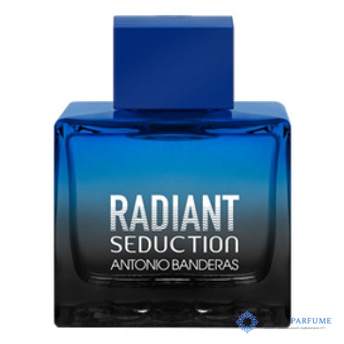 Antonio Banderas Radiant Seduction In Black