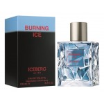 Iceberg Burning Ice